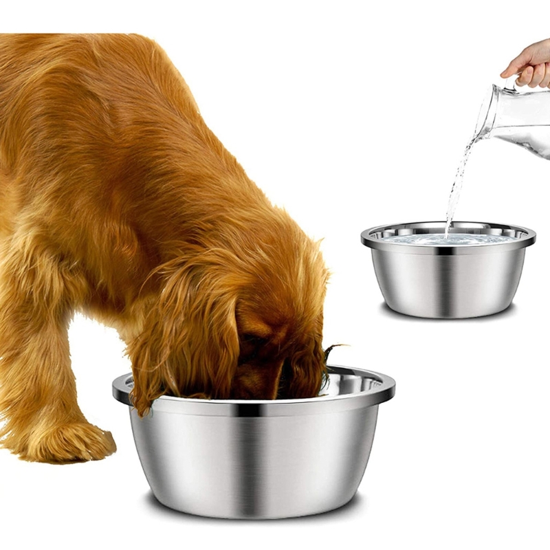 Ciotole per Cani in Acciaio In - Royal Canin Food Medium recensione e prezzo