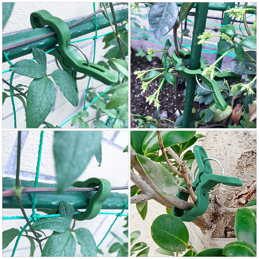 60 pezzi di clip in plastica p - Vine Climbing Plastic recensione e prezzo
